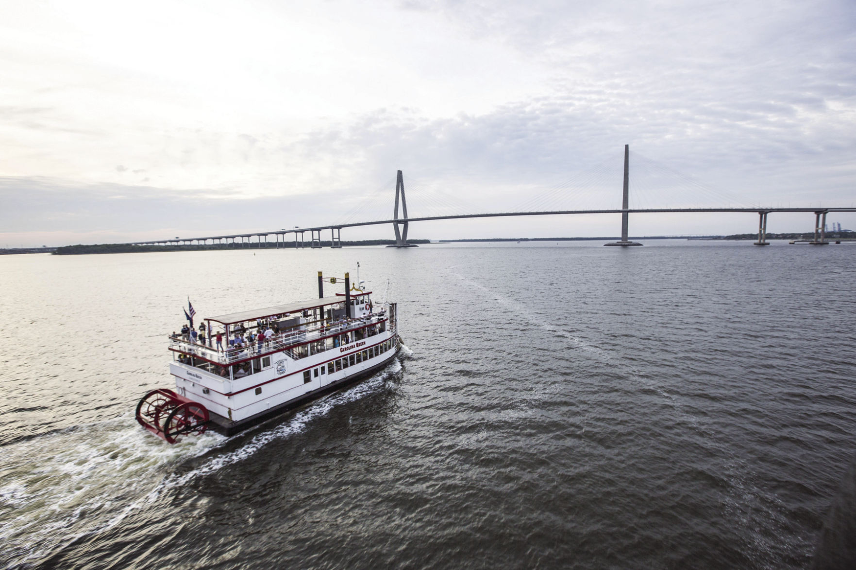 Carolina Queen (copy) (copy)